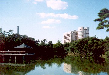 Tatsugaike Pond at Tsurumakoen Park